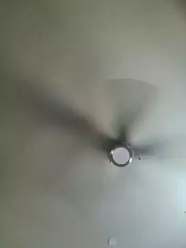 yourMasterisBored webcam