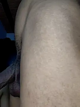 Nick_Amber webcam