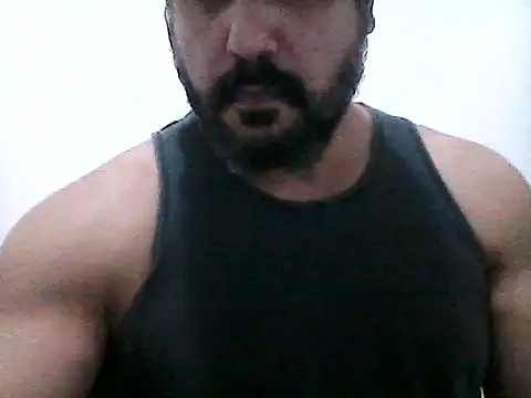 stallony webcam