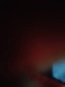 zerobert69 webcam