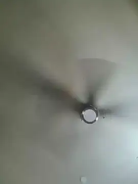 yourMasterisBored webcam