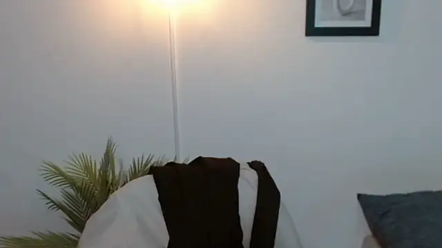 Evanss_lx webcam