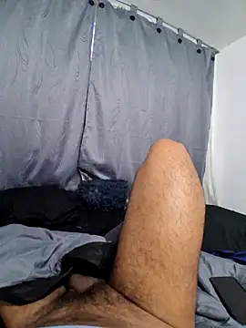 prototipoA45 webcam