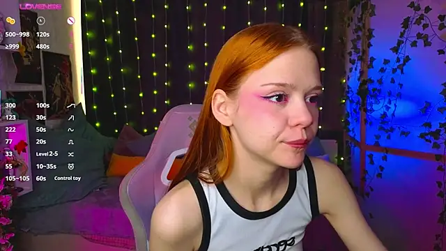 WeiSusi webcam