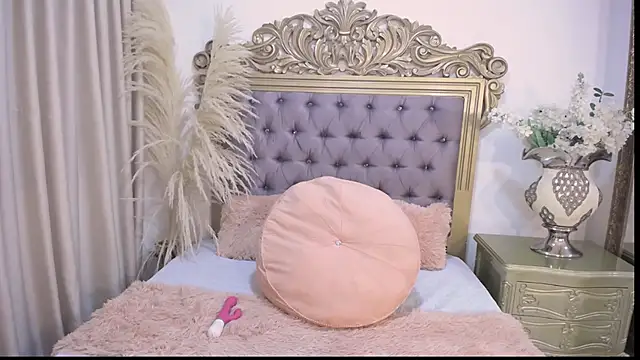AllyRoux webcam