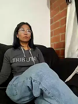 Sofynix webcam