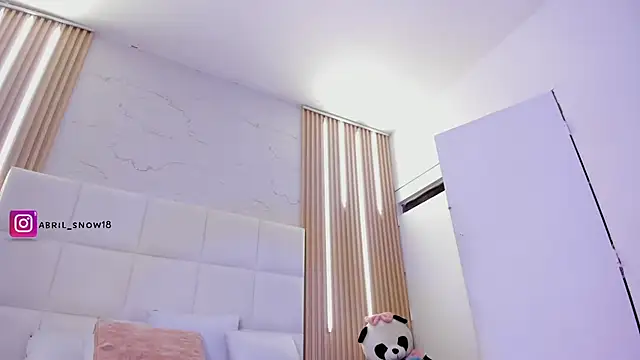 abril_snow webcam
