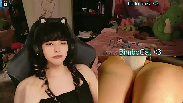 BimboCat webcam