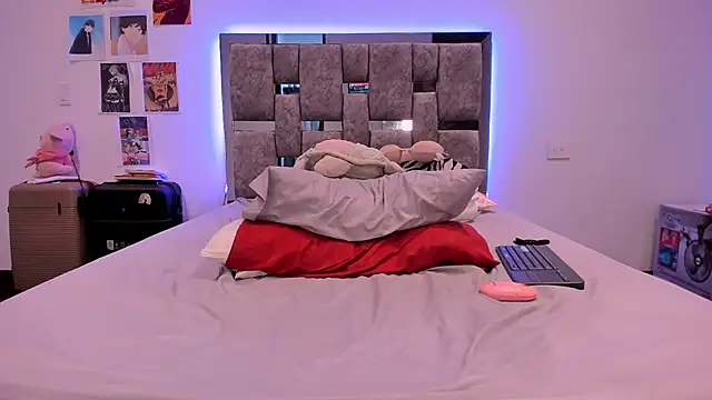 U4e__meg webcam