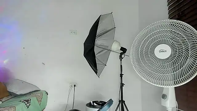 tom_colinn webcam