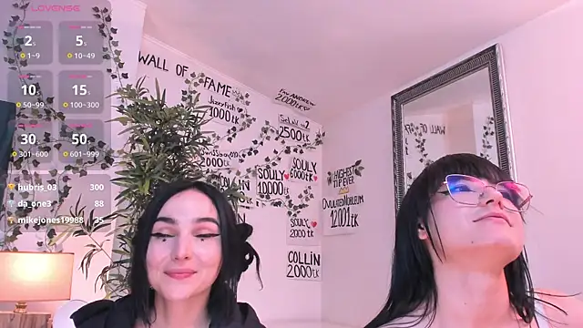 mira0_0 webcam