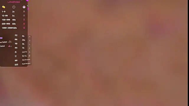 Aidasina webcam