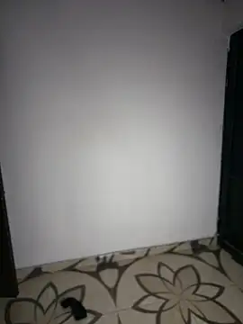 Simone_Miller webcam