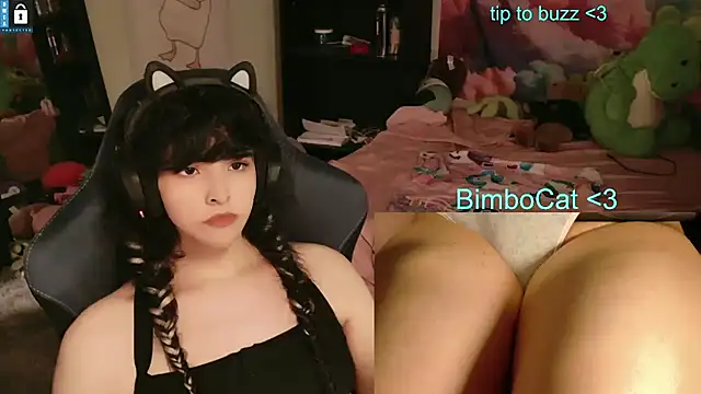 BimboCat webcam