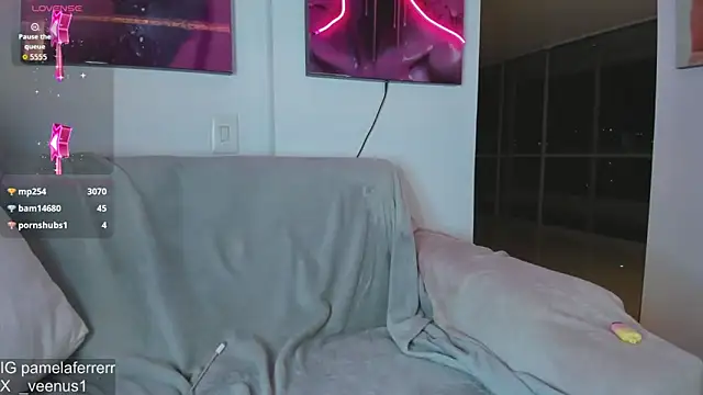 _veenus webcam