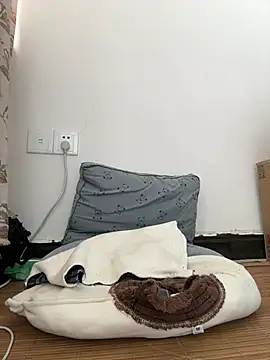 daaqnn webcam