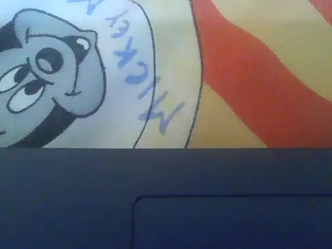 rarindam17 webcam
