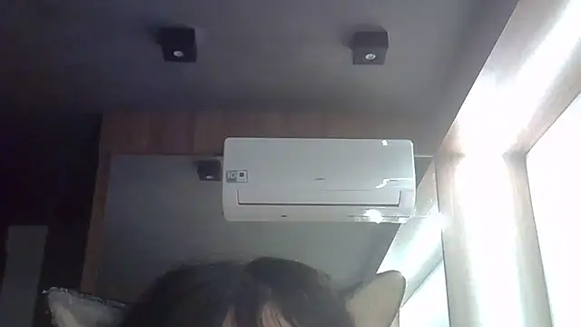SkinnyKitten webcam