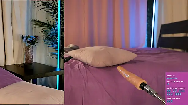 webpetite webcam