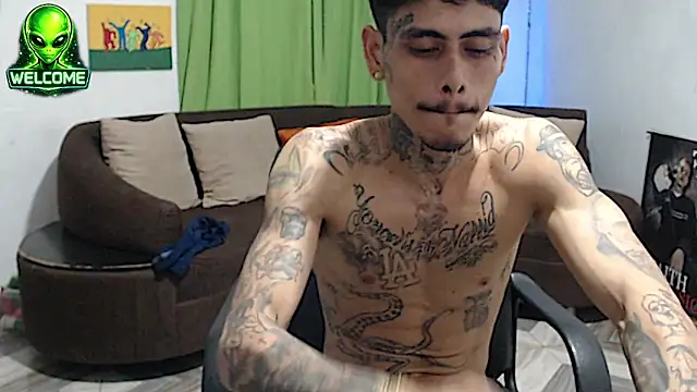 alpha_zom webcam