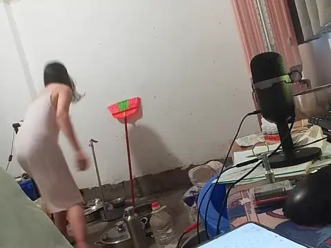 RebelAura webcam