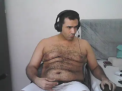 IronSideBear webcam