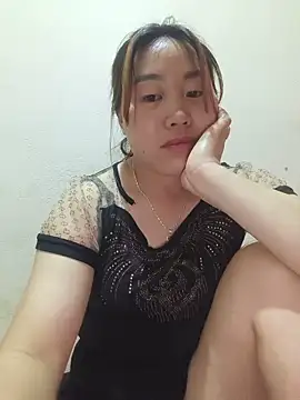 he-se-kin webcam