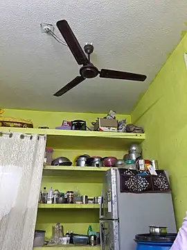 Honey_rosetamil webcam