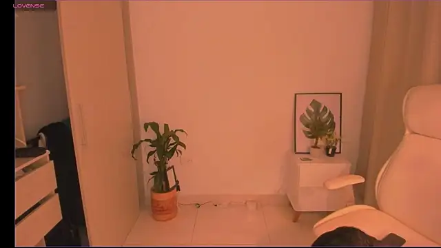 odelei webcam
