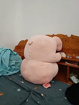 Kirix_adra webcam