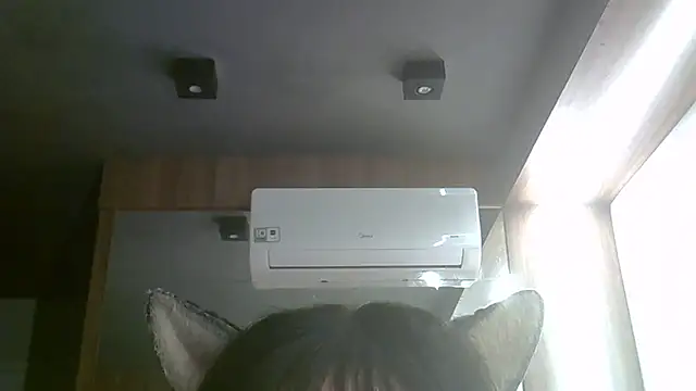 SkinnyKitten webcam