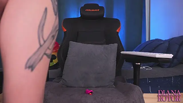 diana_rotor webcam
