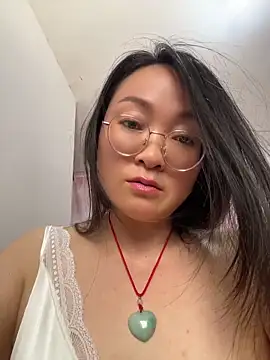 h-139431 webcam