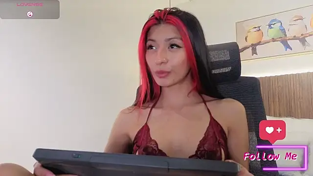 dulcetorresvg webcam