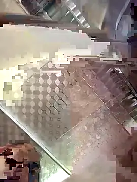 toyo_668 webcam