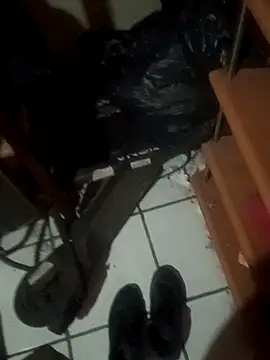 Lotusproject webcam