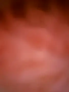 crawlerdrill webcam