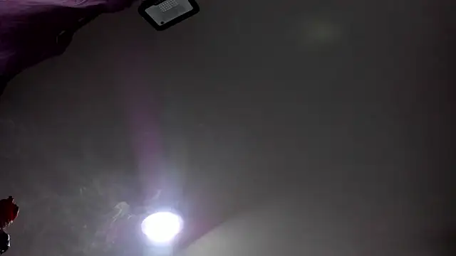 Abbyhally webcam