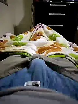 Gallanttrox live cam