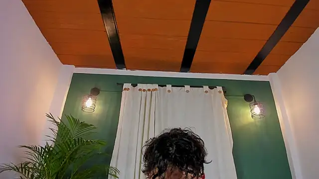 Aron_ford webcam