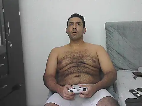 IronSideBear webcam