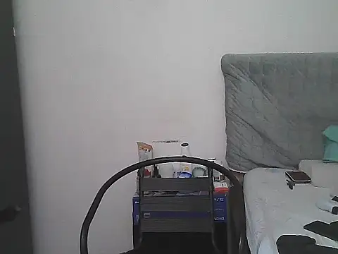 IronSideBear webcam