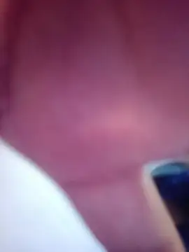 MeelFox webcam