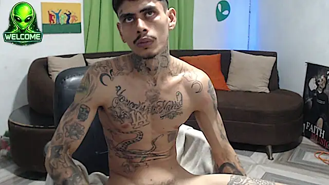 alpha_zom webcam