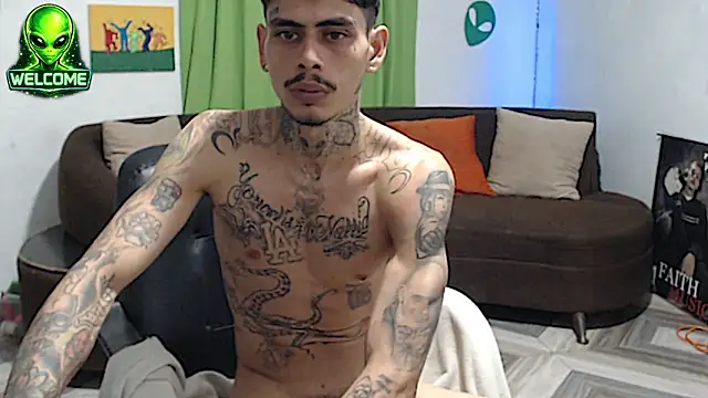 alpha_zom webcam