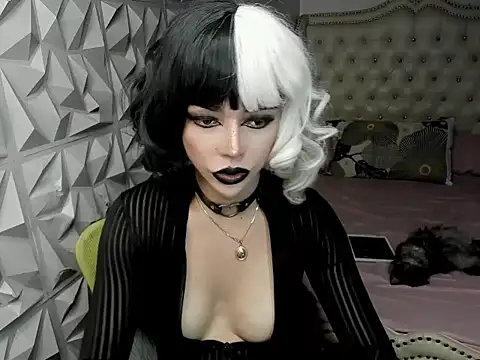 janecomander webcam