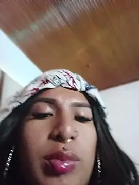MeelFox webcam