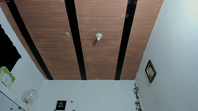 kendall-ewers webcam