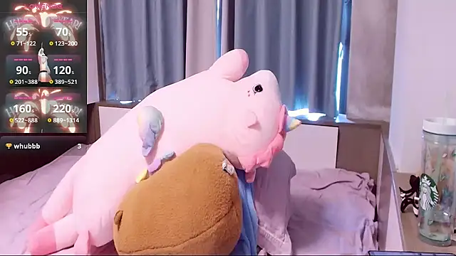 cici-2026 webcam