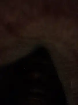 Big_B_Cock_1 webcam